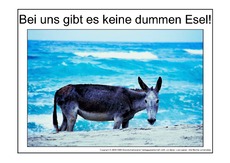 Dummer-Esel-1.pdf
